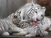 /album/fotogaleria/images-4-jpg/